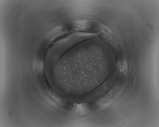 X0000111580564200908131321