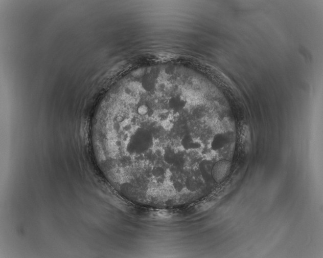 X0000111580565200908131321