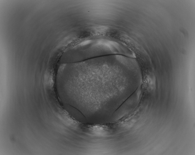 X0000111580566200908131321