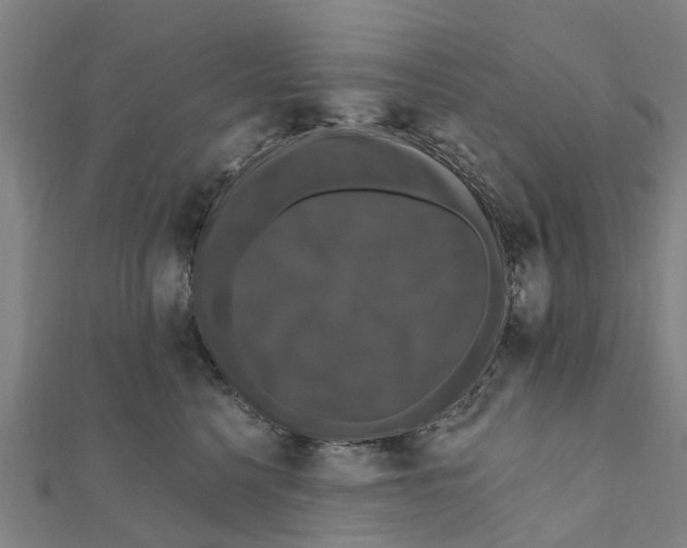 X0000111580568200908131321