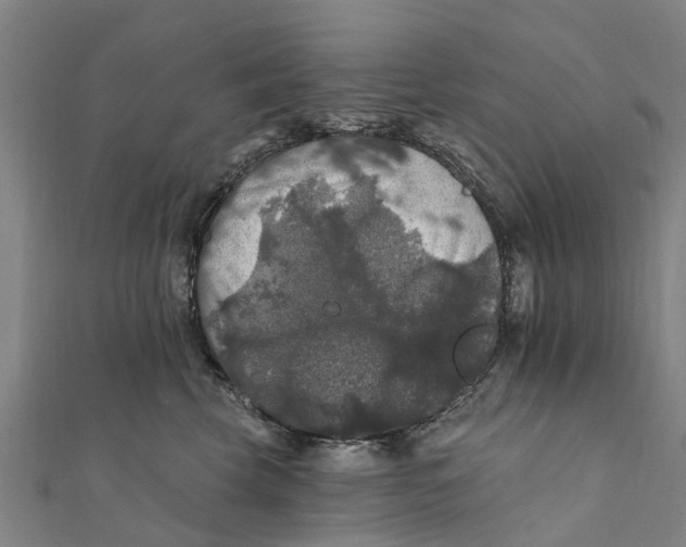 X0000111580569200908131321