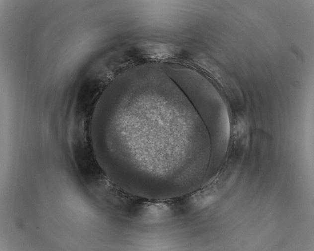 X0000111580572200908131321