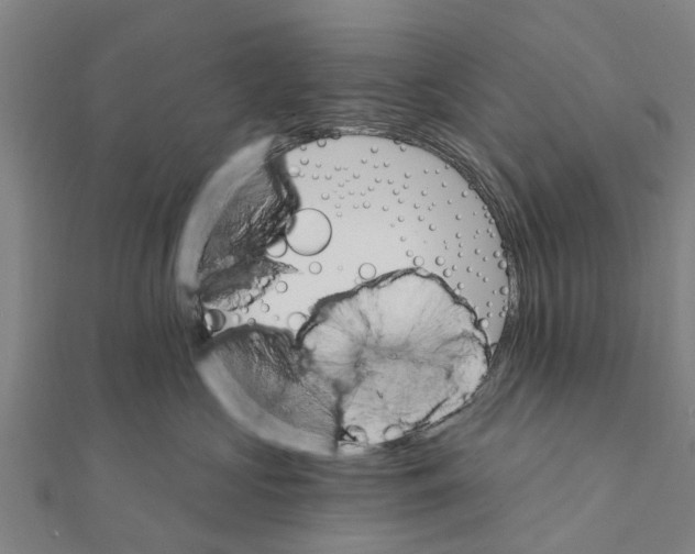 X0000111580573200908131321