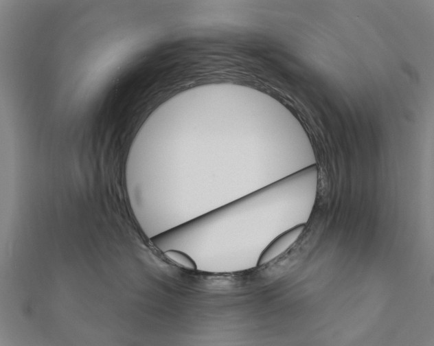 X0000111580574200908131321