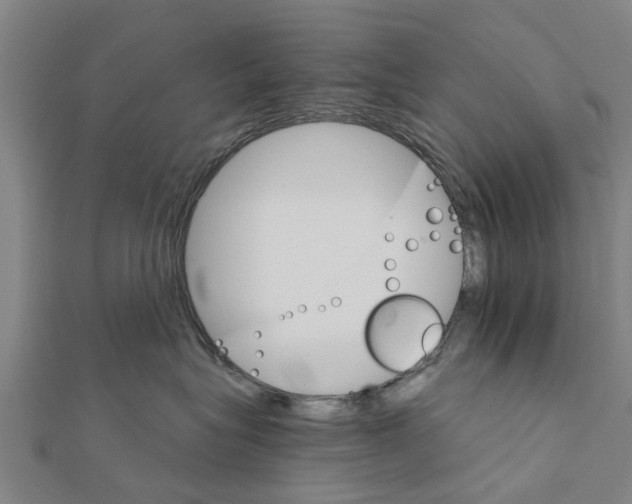 X0000111580575200908131321