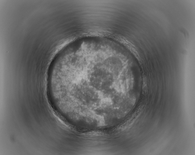 X0000111580578200908131321