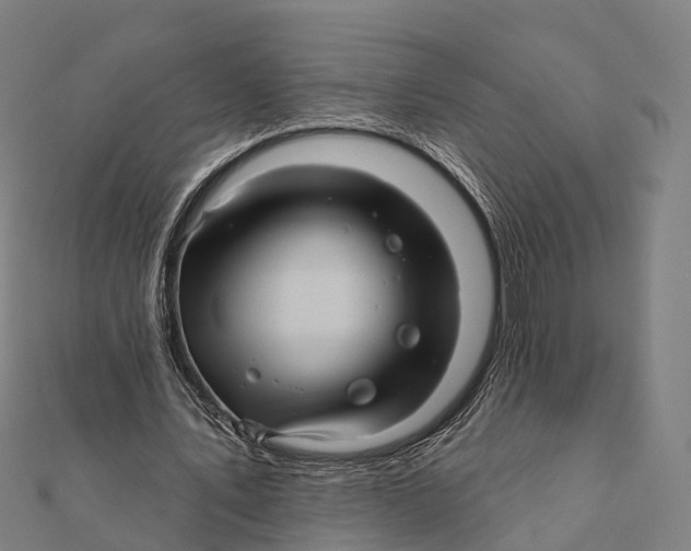 X0000111580579200908131321