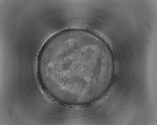 X0000111580580200908131321