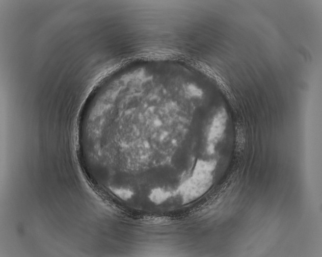 X0000111580582200908131321