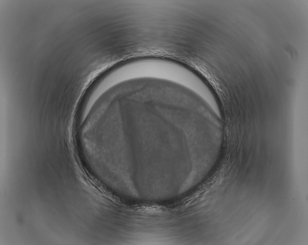 X0000111580583200908131321