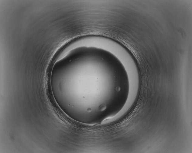 X0000111580584200908131321