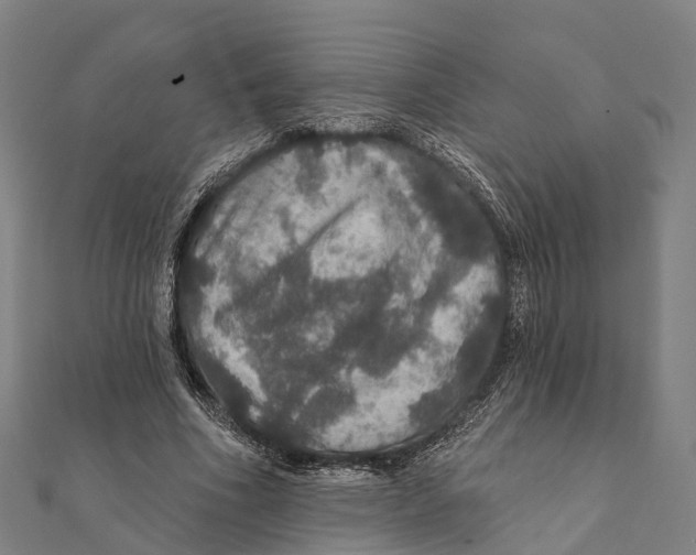 X0000111580586200908131321