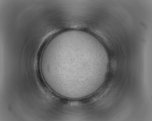 X0000111580587200908131321