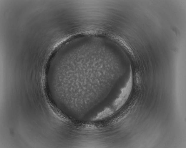 X0000111580588200908131321