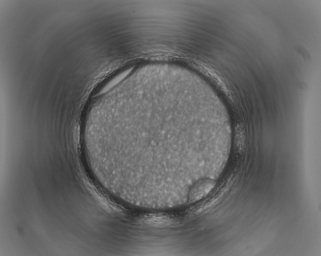 X0000111580589200908131321