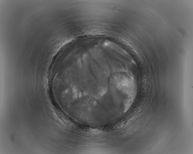 X0000111580592200908131321