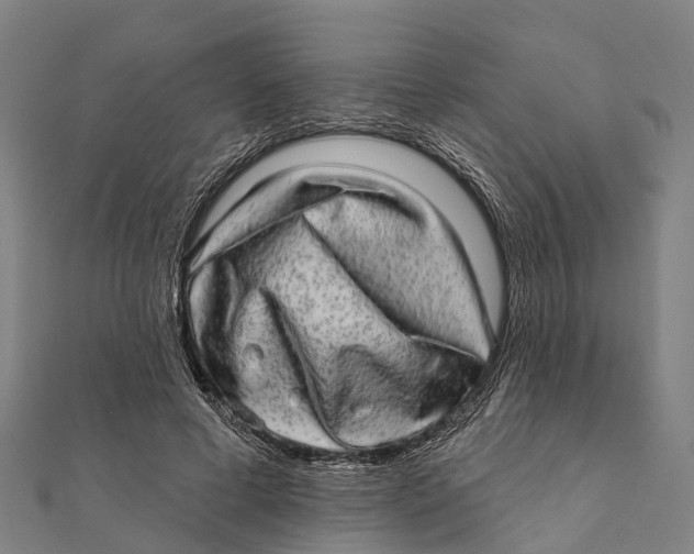 X0000111580593200908131320