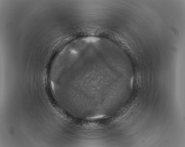 X0000111580594200908131320