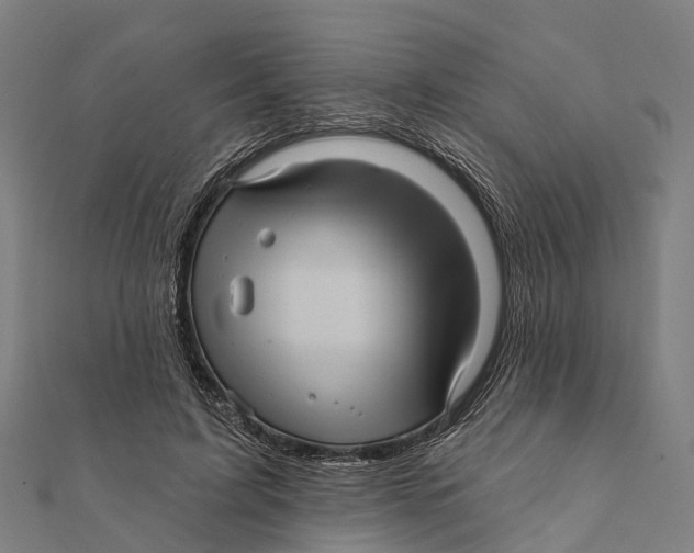 X0000111580595200908131320