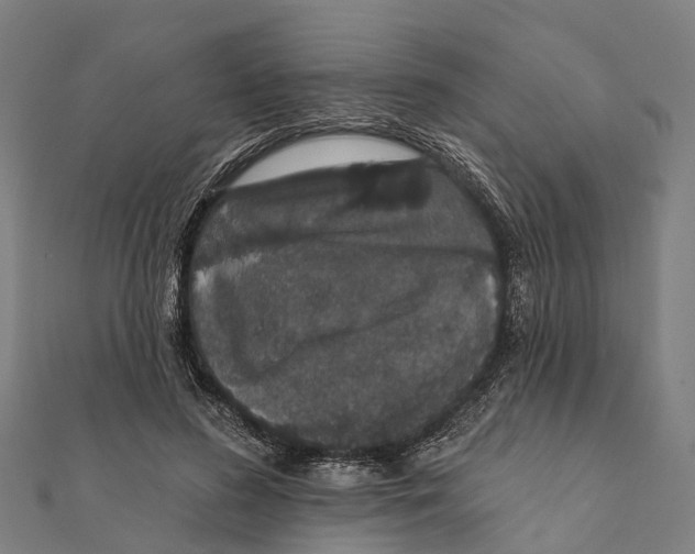 X0000111580596200908131320