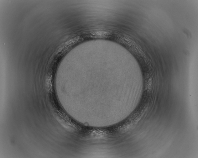 X0000111580599200908131320