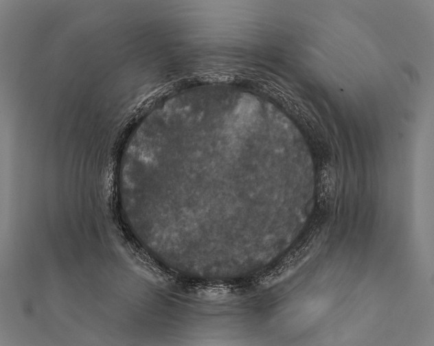 X0000111580600200908131320