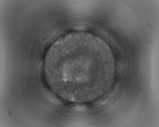 X0000111580601200908131320