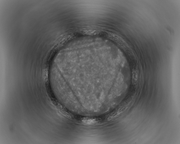 X0000111580602200908131320