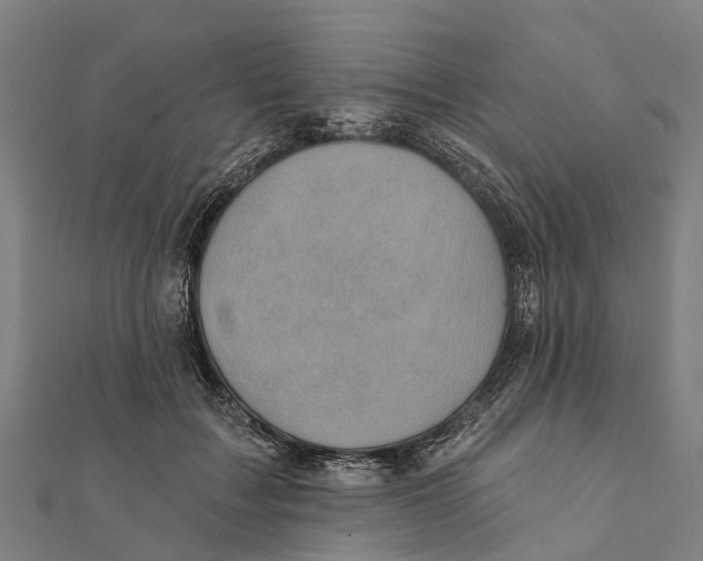 X0000111580603200908131320