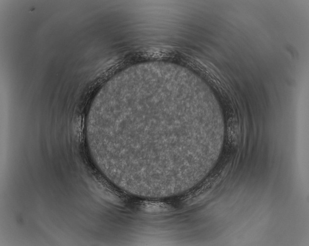 X0000111580605200908131320