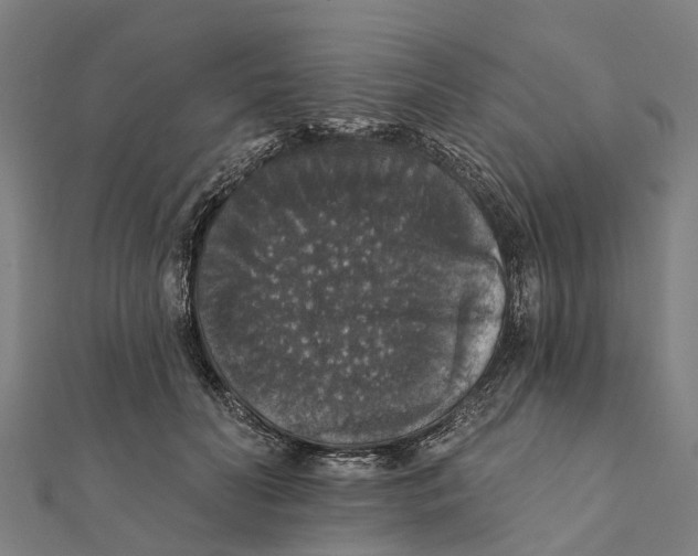 X0000111580606200908131320