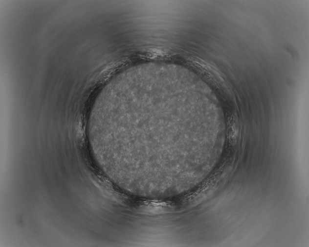 X0000111580607200908131320