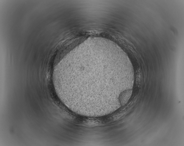 X0000111580608200908131320