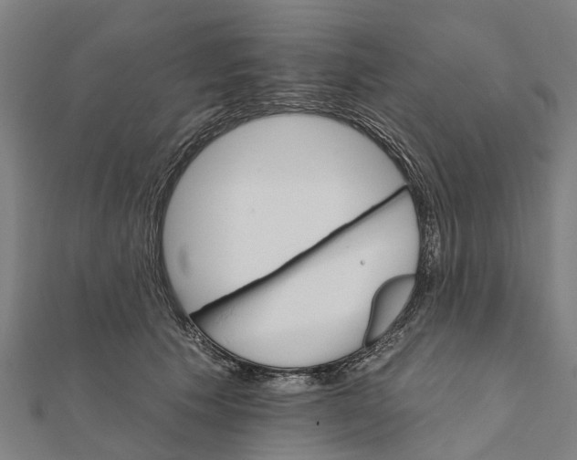 X0000111580609200908131320