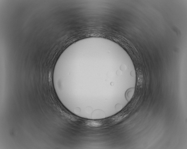 X0000111580610200908131320