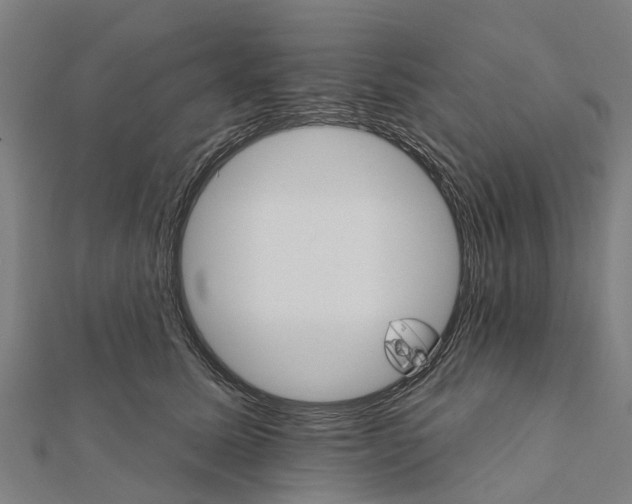 X0000111580611200908131320