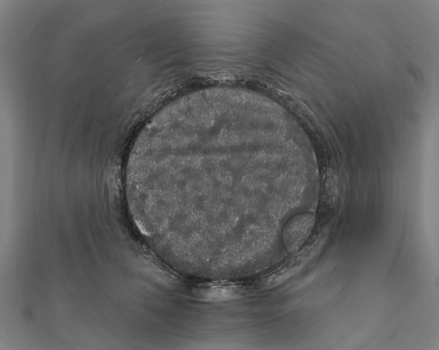 X0000111580612200908131320