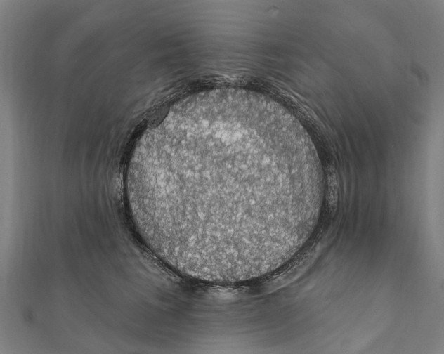 X0000111580613200908131320