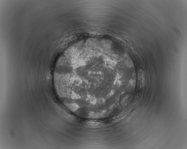 X0000111580614200908131320