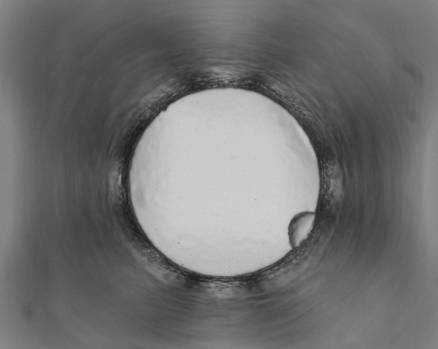 X0000111580615200908131320