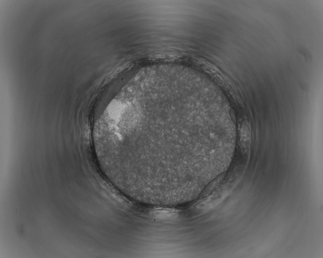 X0000111580617200908131320