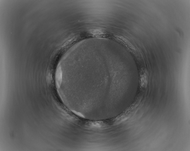 X0000111580618200908131320