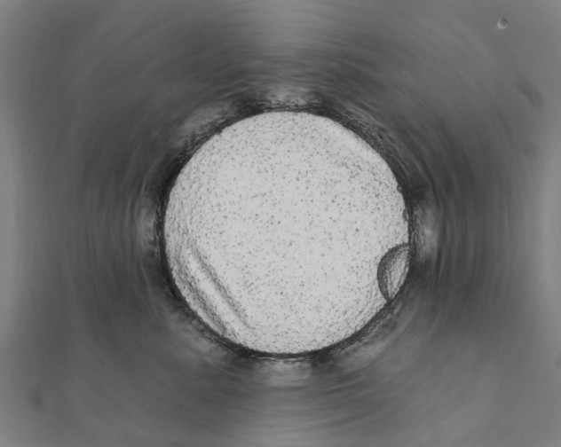 X0000111580619200908131320