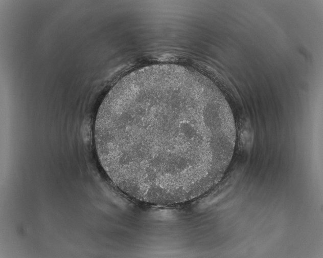 X0000111580620200908131320