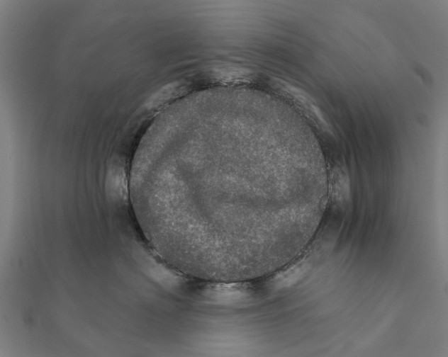 X0000111580622200908131320