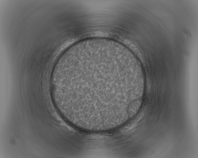 X0000111580625200908131319