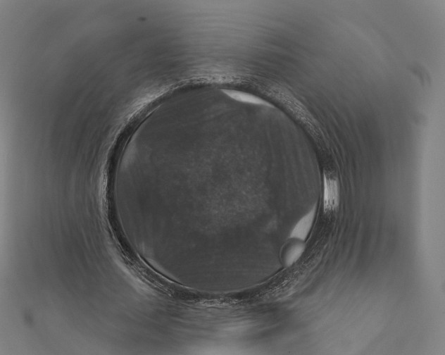 X0000111580627200908131319