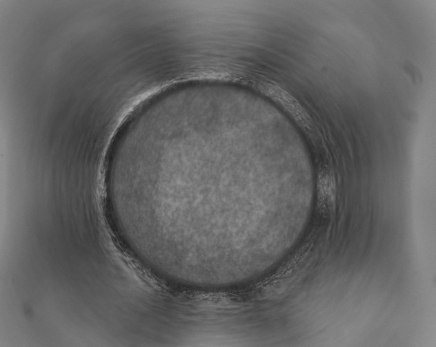 X0000111580628200908131319