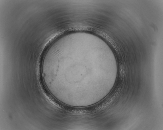 X0000111580629200908131319