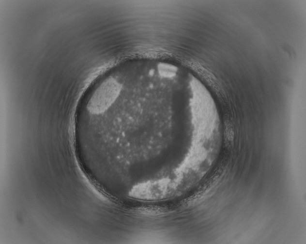 X0000111580630200908131319